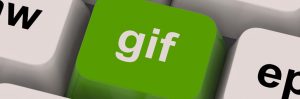 why you need gifs
