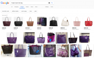 Example of a Google Image Search